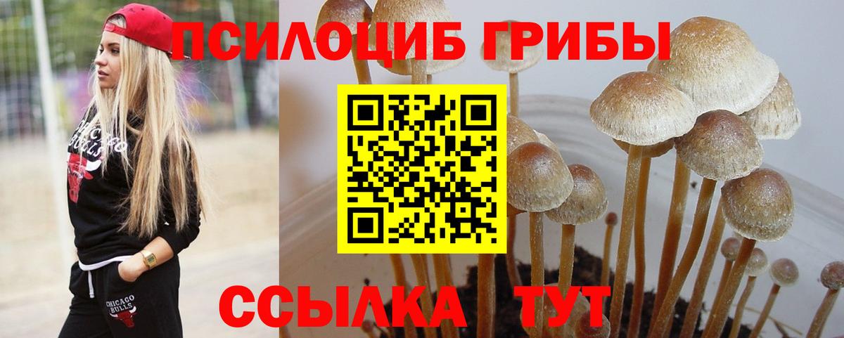 Псилоцибиновые грибы мухоморы Муравленко